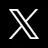 x icon