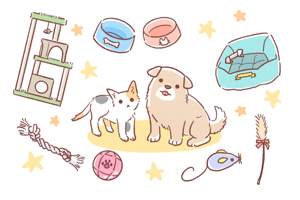 猫と犬を一緒に飼うときに考えたい5つの注意点