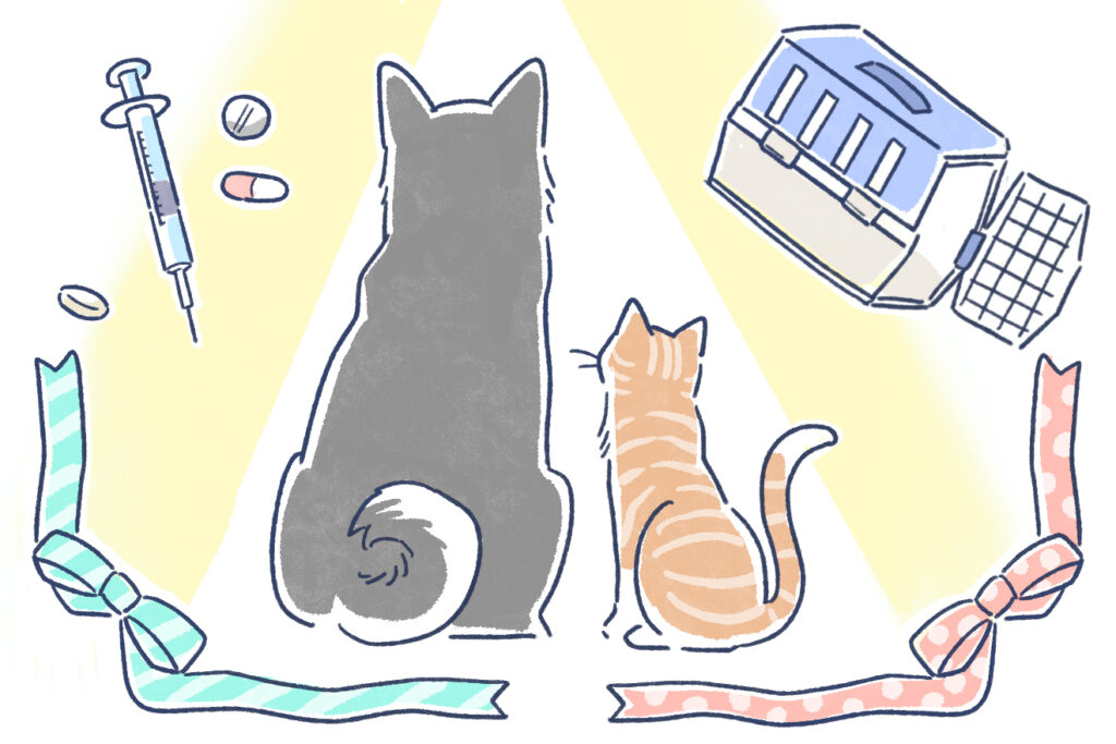 多頭飼いするなら絶対に入っておきたい「ペット保険」