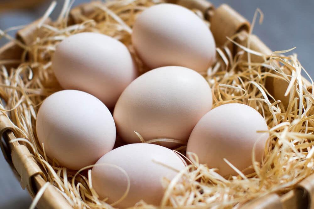 伊藤養鶏場　烏骨鶏（うこっけい）卵（たまご）20個入 | 自家配合のこだわった特別な飼料を使用した卵