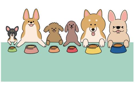 犬にバナナを食べさせても大丈夫?量や注意点を知ろう