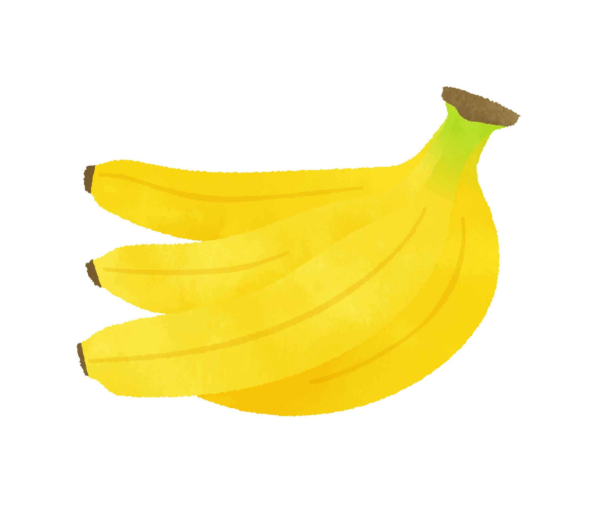 犬にバナナを食べさせても大丈夫 量や注意点を知ろう セゾンのくらし大研究 犬にバナナを食べさせても大丈夫 量や注意点を知ろう セゾンのくらし大研究