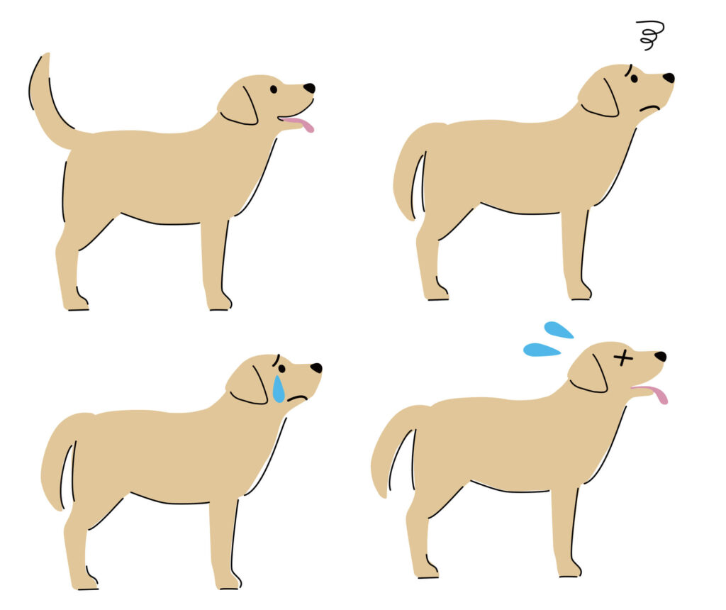６．体温変化が起こりやすい犬種とは？
