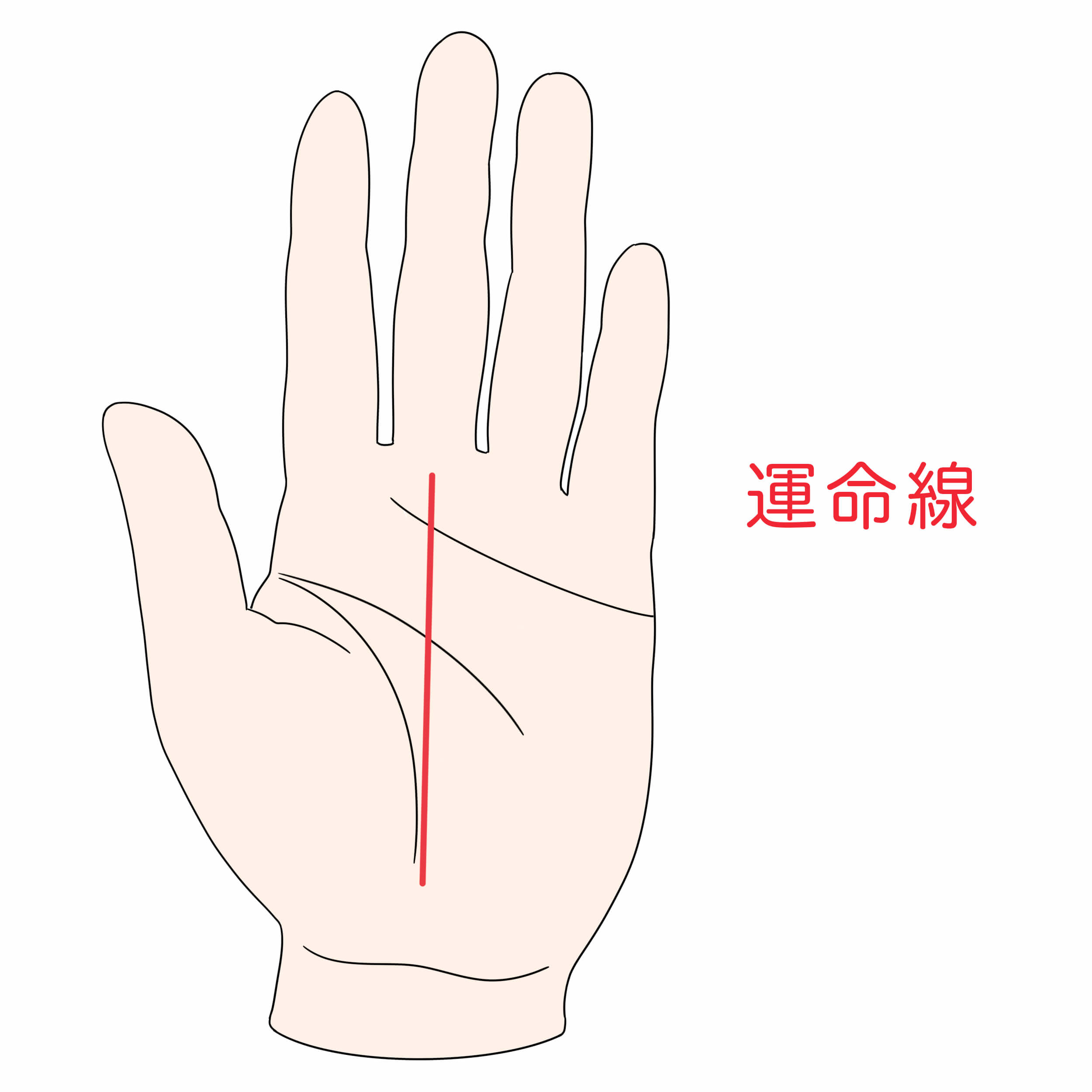 手相占いは左手を見せる 右手との違いや手相線の見方とは セゾンのくらし大研究