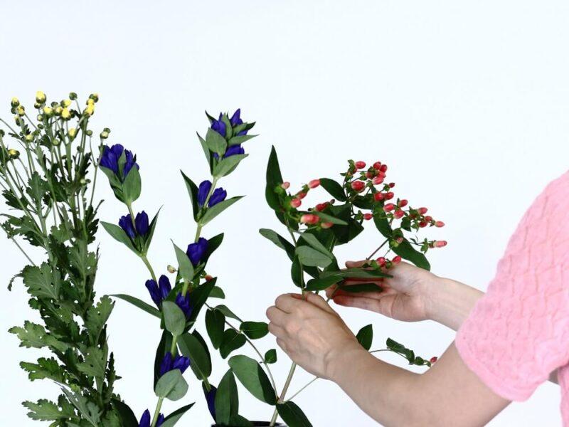 花一輪から始める「いけばな」のすすめ～華道ことはじめ～ | セゾンのくらし大研究