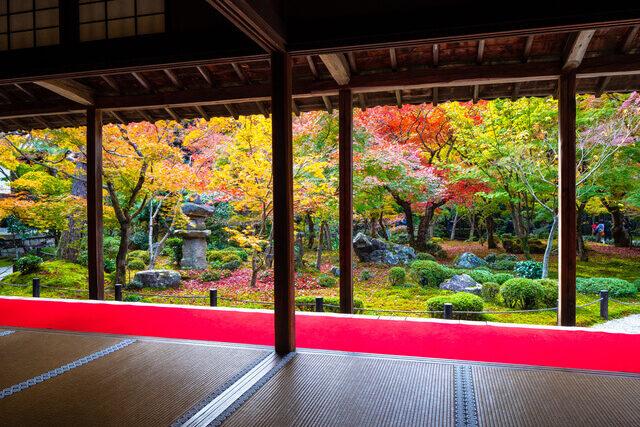 京都の見どころをご紹介します｜上皇と家康、庭園を散策して分かる京都の見どころとは