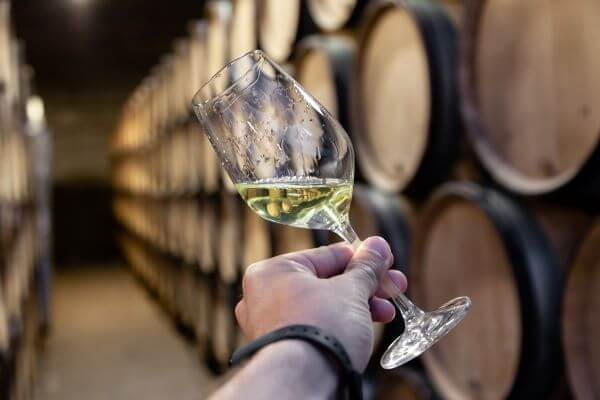 ワインのアルコール度数はどうやって決まる？！