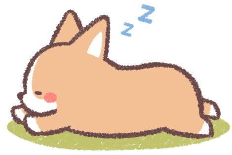 ペット保険 セゾンのくらし大研究