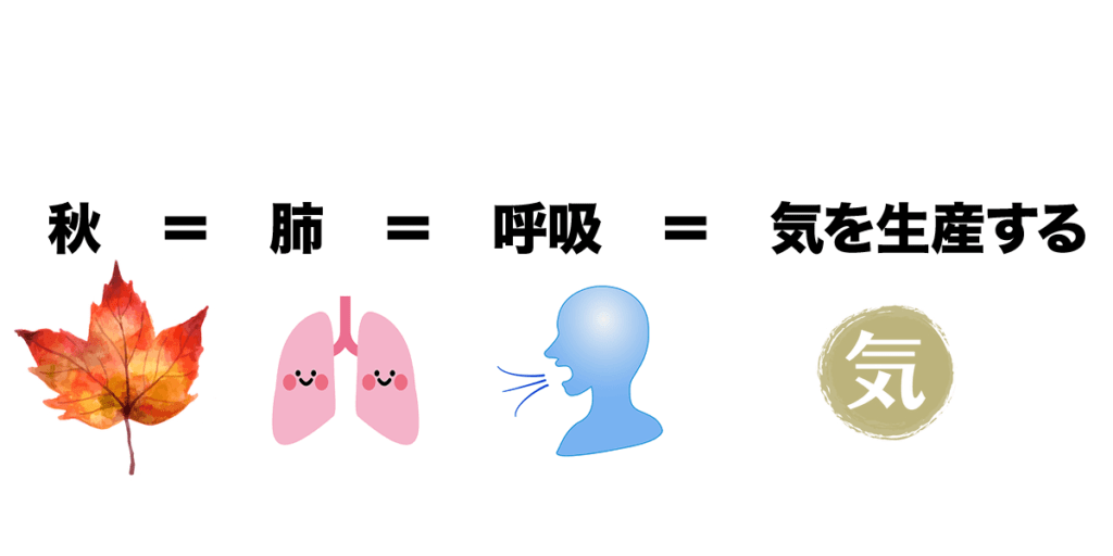 秋＝肺＝呼吸＝気を精算するところ