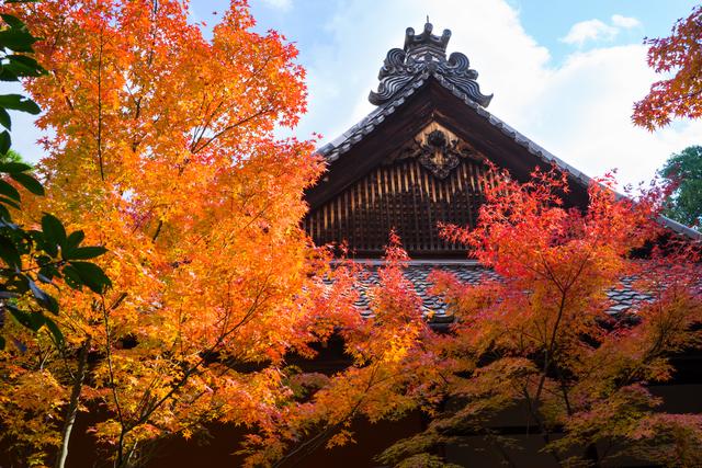 晩秋に行く京都の見どころ｜大徳寺と東山に見る京の歴史と荘厳