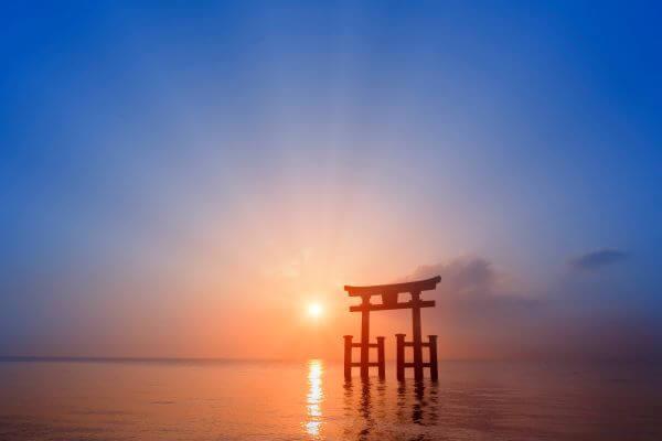 琵琶湖中の大鳥居が幻想的｜白鬚神社