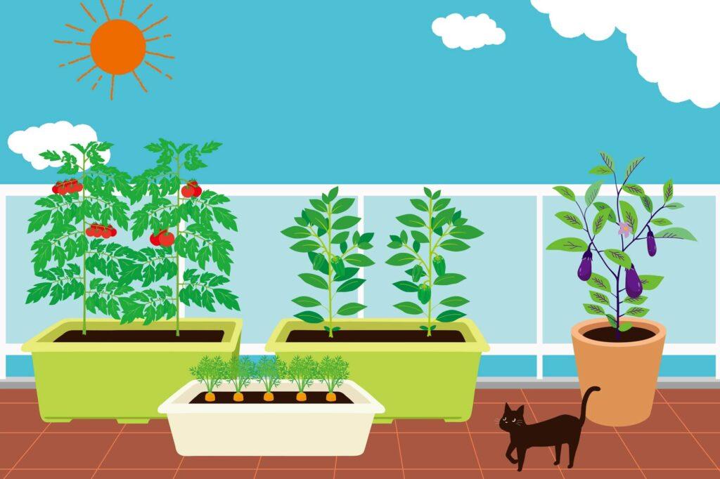 ２．【家庭菜園】プランター栽培の基礎知識 