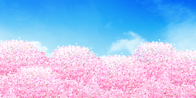 ひな祭り　桜
