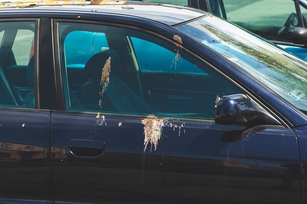 車についた鳥のフンの掃除方法