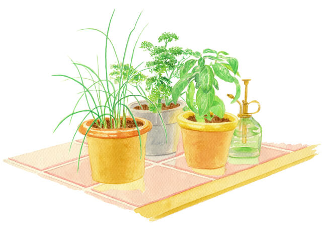 引っ越しの際に植木鉢の植物を処分する方法