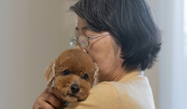 おひとりさまの終活で注意すること