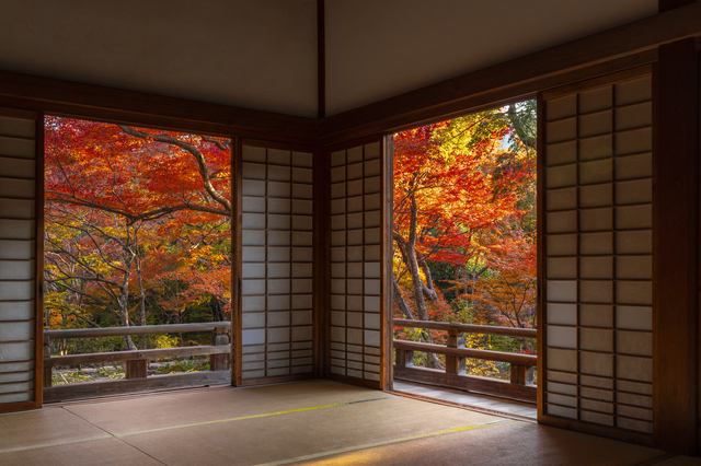 日本の紅葉が美しい理由