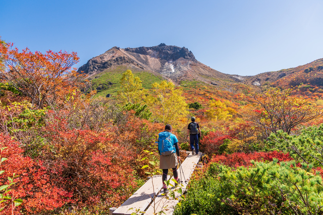 紅葉狩りの楽しみ方3選