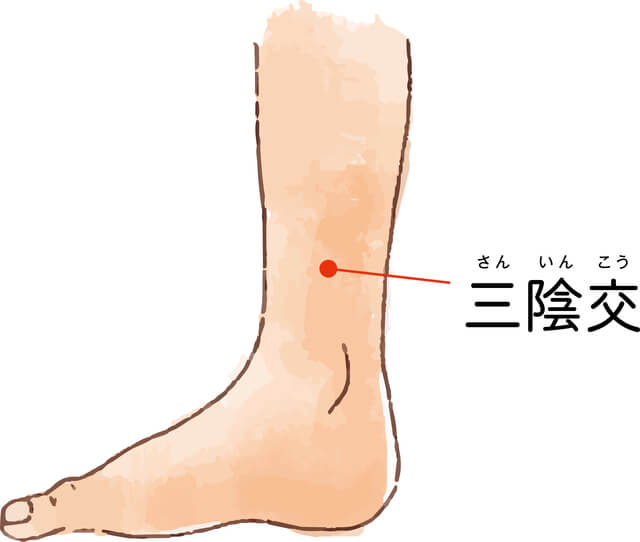 女性特有の不調（むくみ・冷え・頭痛など）：三陰交（さんいんこう）、合谷（ごうこく）