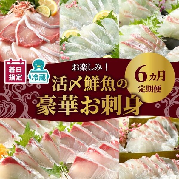 【宮崎県延岡市】活〆鮮魚の豪華お刺身 定期便［6ヶ月連続］