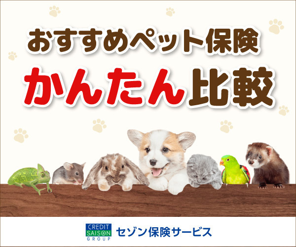 セゾン保険サービスバナー_600x500