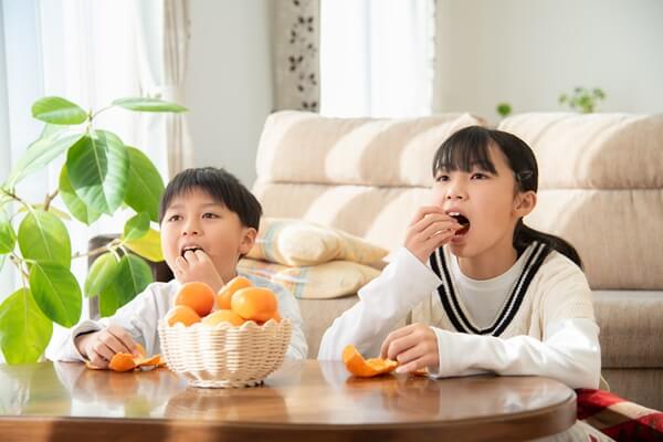 冬が旬の果物