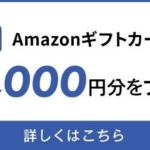 セゾンコバルト・ビジネス・アメリカン・エキスプレス・カード