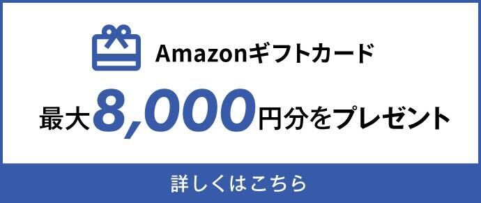 セゾンコバルト・ビジネス・アメリカン・エキスプレス・カード
