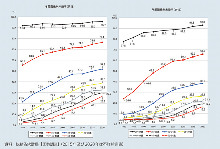 日本の未婚率上昇と高齢単身者の増加