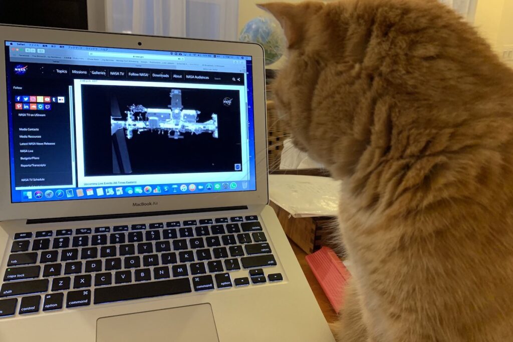飼い猫のタイタスと、ISSの映像を鑑賞