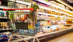 買い物付き添いサービスとは？種類や選び方を徹底解説