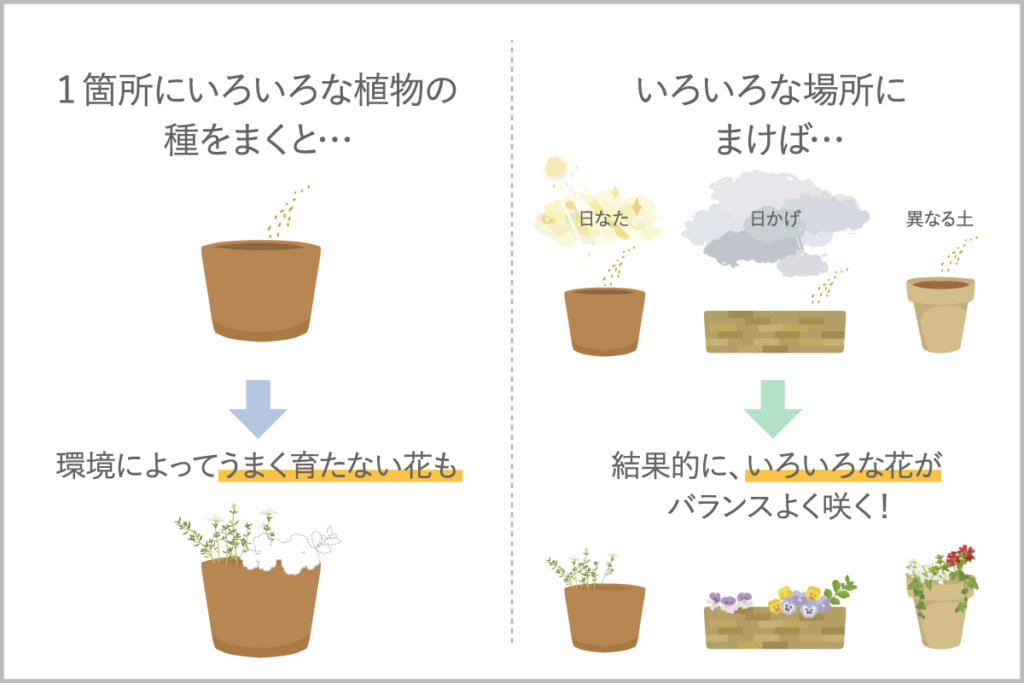 地域の分散-いろいろな国・地域に投資してリスクを軽減!