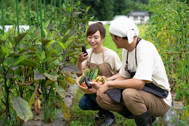 民泊が副業として人気がある5つの理由