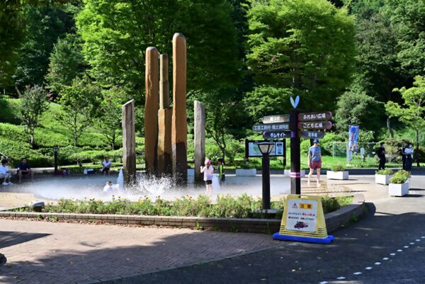 神奈川：アスレチックも無料！「県立あいかわ公園」を朝イチで満喫する方法