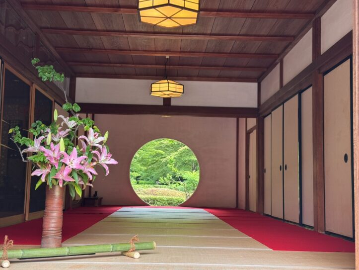 HafHと通常予約の料金比較！実際どれくらい節約できる？