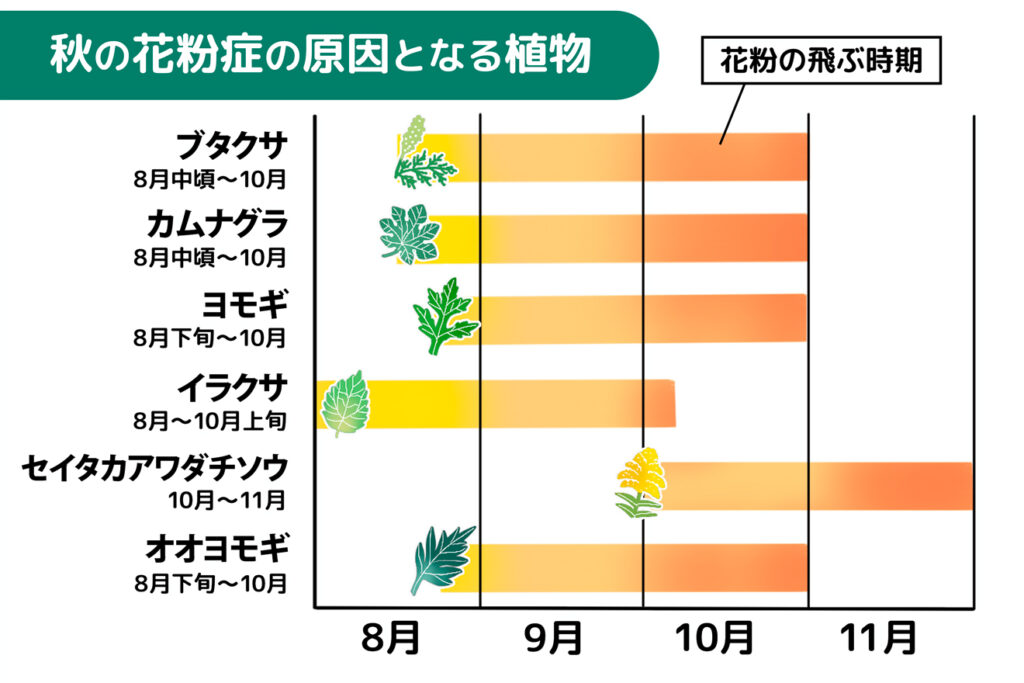 秋のアレルギーは「草の花粉」が主な原因2