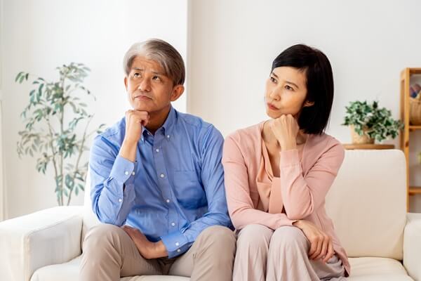 補助金が使えない場合の課題