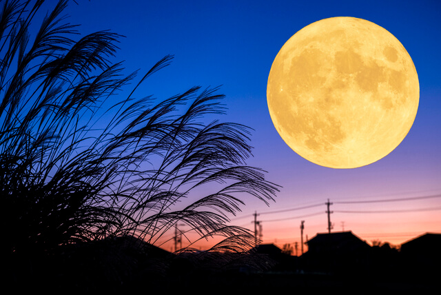 まとめ:静かな夜に、月とともに心を整えるひとときを
