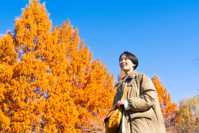 まとめ：ビタミンDで免疫力と健康を守ろう