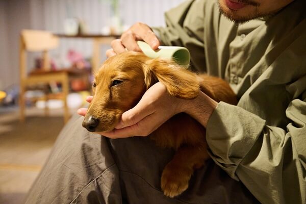 初心者でも安全にできるケアと絶対にプロに任せるべきケアの線引き