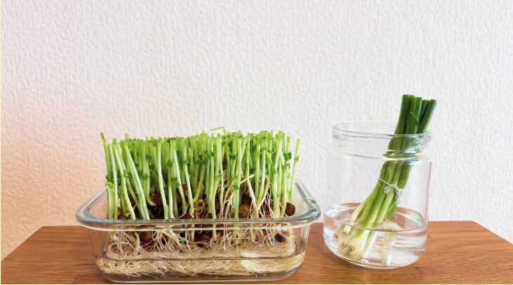 月々の小さな節約が積み重なるメリット