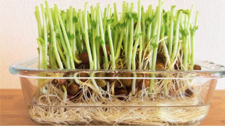 カビ・腐敗を防ぐ衛生管理