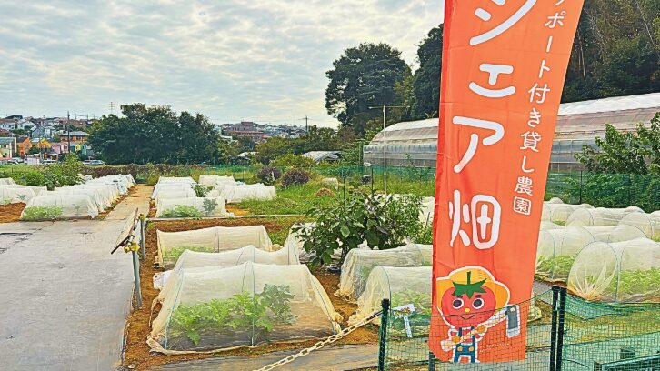 市民農園の費用と収穫できる野菜の量