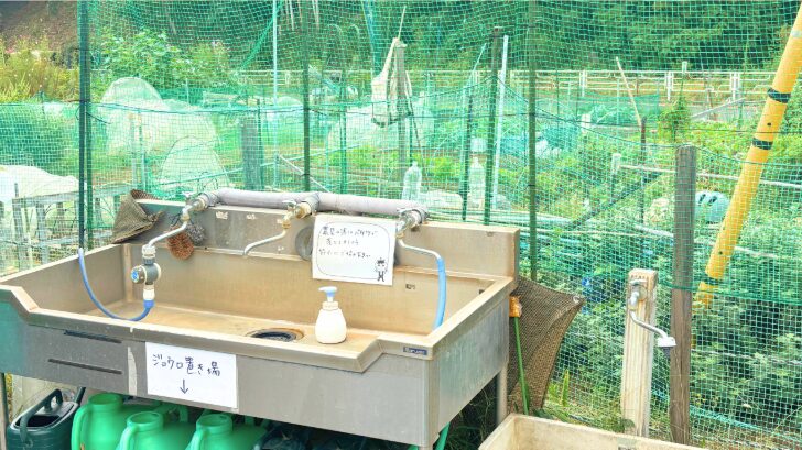 年間利用料と初期投資の総額目安