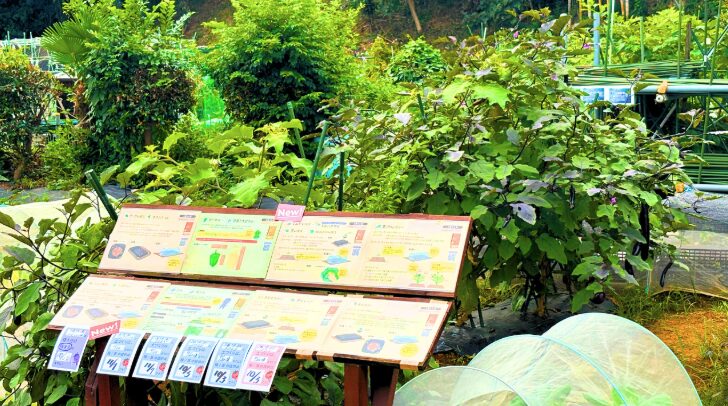 初心者向けの年間作付けスケジュール