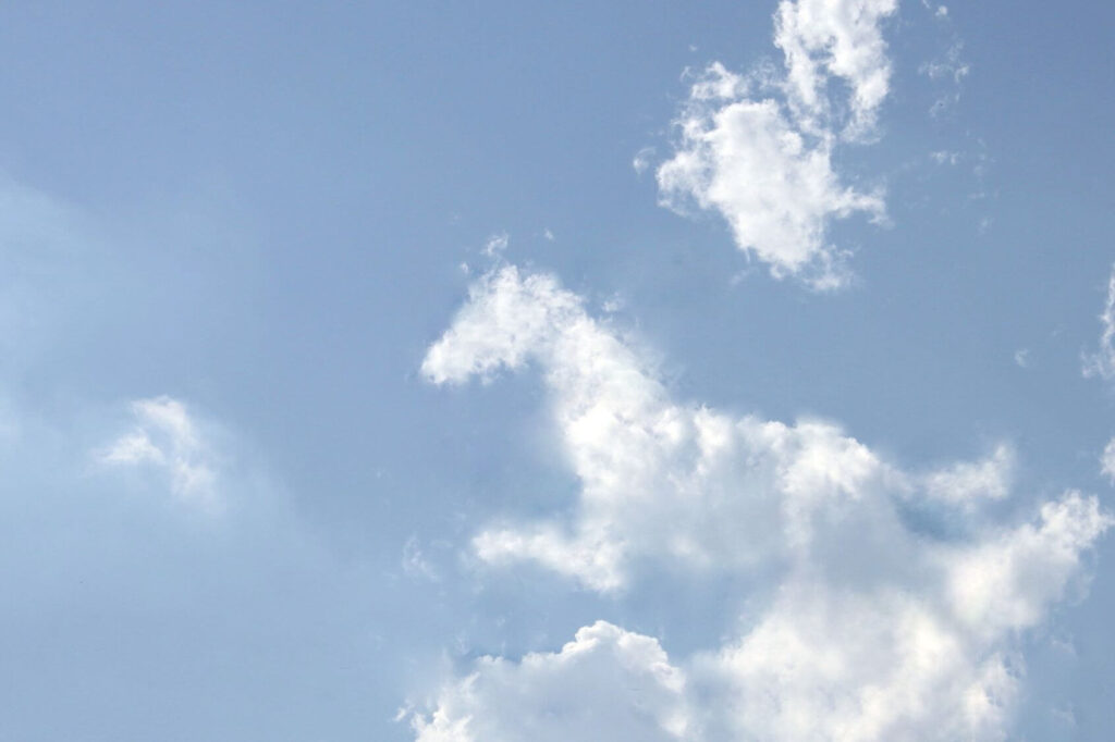 午年相場を“駆け抜ける”ために