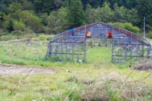 実家が「農地」だった…売却や転用が難しく固定資産税だけ払い続ける“負動産”にしないための「農地法」の基礎知識と注意点