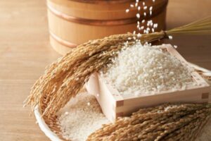 10万円以内で「株主」に！3月に権利確定する株主優待おすすめ厳選5銘柄【決算企業が多い3月は狙い目】