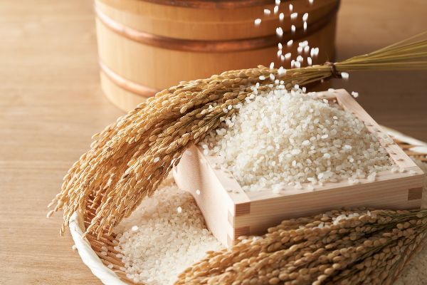 10万円以内で「株主」に！3月に権利確定する株主優待おすすめ厳選5銘柄【決算企業が多い3月は狙い目】