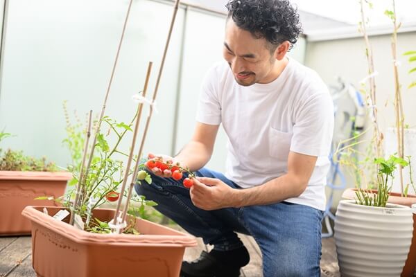 家庭菜園で元が取れる野菜！初期投資回収までの期間